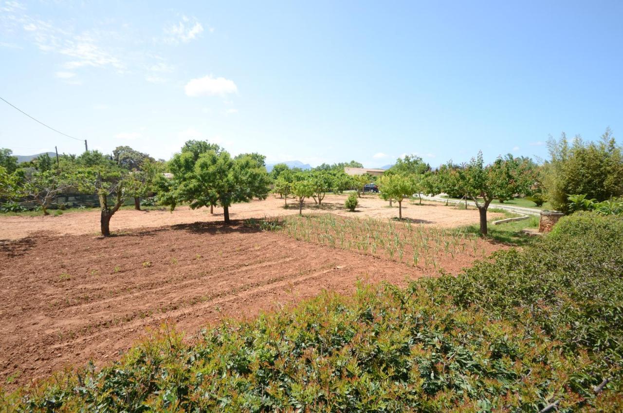Villa Can Pau, Pool And Garden Close To The Beach Port d'Alcúdia Exterior foto